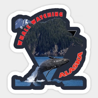 Alaska Whale Watching humpback beluga orca killer whales Sticker